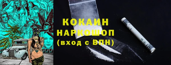мдпв Богородск