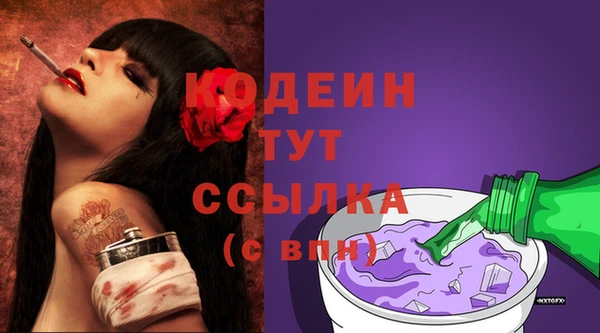 мдпв Богородск