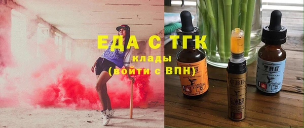 тгк Бородино