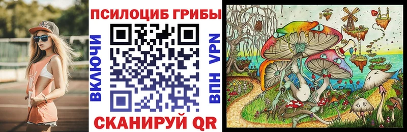 blacksprut сайт  Тихорецк  Галлюциногенные грибы GOLDEN TEACHER 